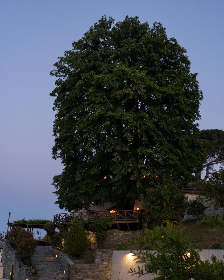 Tilia Resort Mouresi Exterior photo
